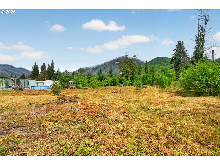 51790 Echo St, McKenzie River, OR 97413 - #2