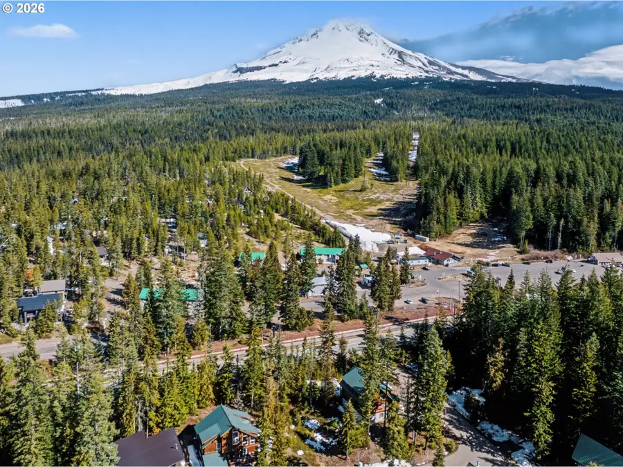 90011 E Morrison Ln #Lot 1, Government Camp, OR 97028 - #3