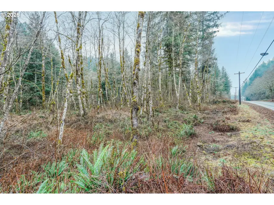 Washougal River Rd, Washougal, WA 98671 - #3