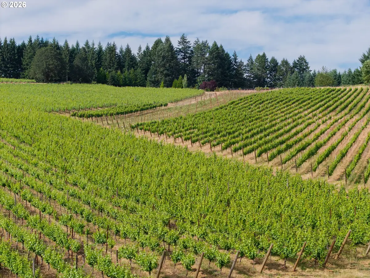 25219 High Pass Rd, Junctioncity, OR 97448 - #1