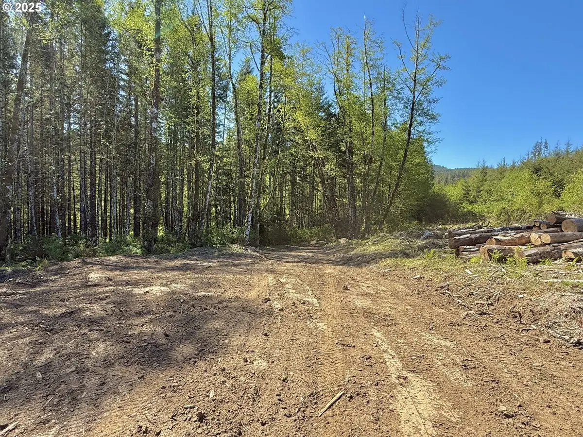 72000 Clatskanie Heights Rd, Clatskanie, OR 97016 - #1