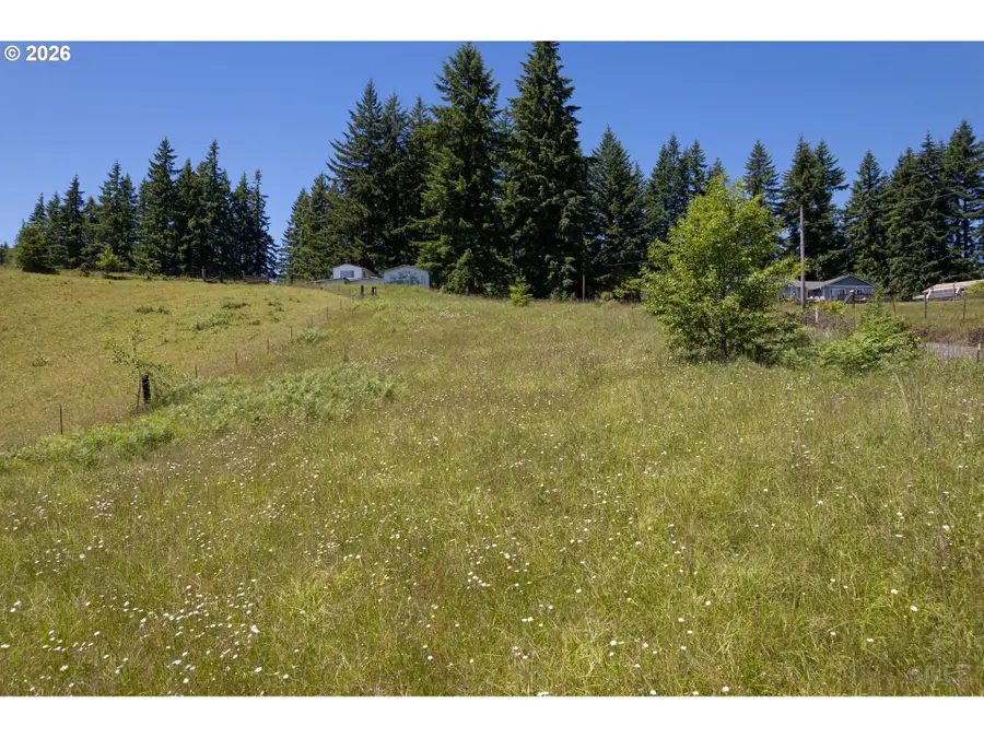 27546 Clark Rd, Goble, OR 97054 - #3