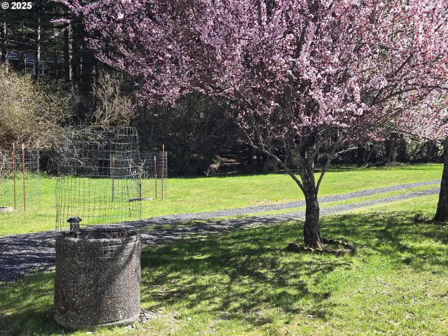 Heslen Rd, Carson, WA 98610 - Image #2