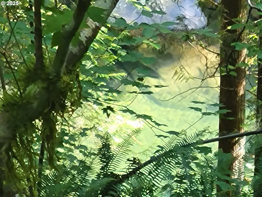 Heslen Rd, Carson, WA 98610 - Image #3