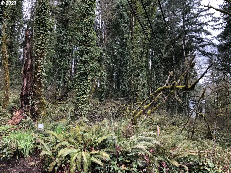 19088 Barton Rd, Stafford, OR 97034 - #2