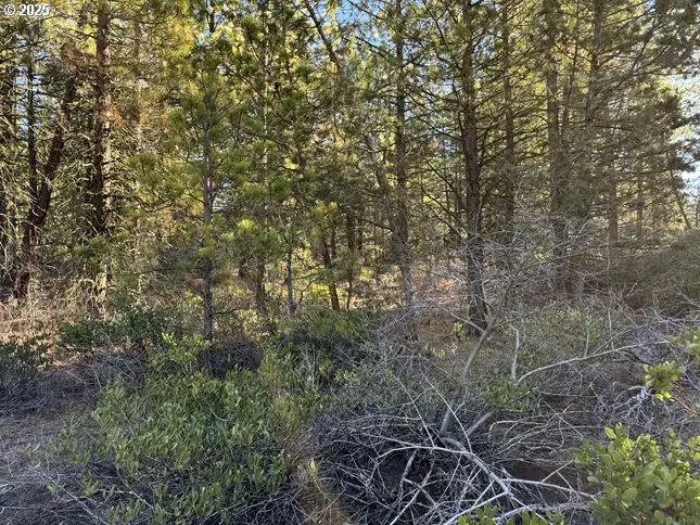 Golden Eagle Dr #31, Bonanza, OR 97623 - Image #2