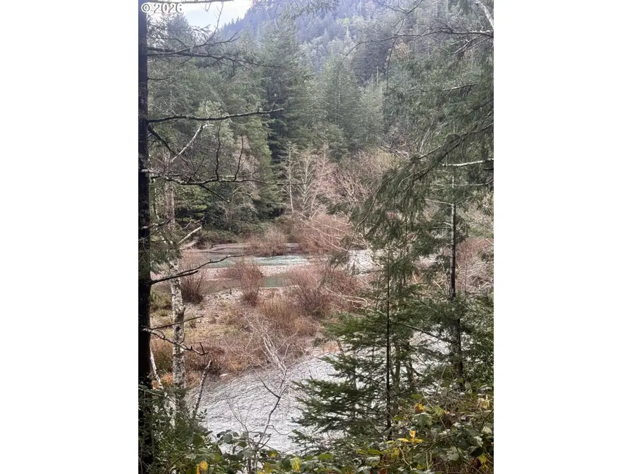 41574 Swinging Bridge Ln, Port Orford, OR 97465 - #3