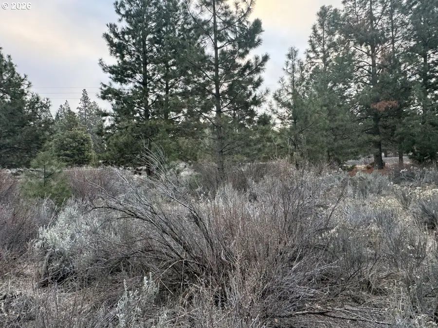 Cahuilla Circle #10, Chiloquin, OR 97624 - #3