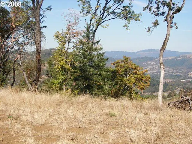 887 Southridge Way, Roseburg, OR 97470 - #1