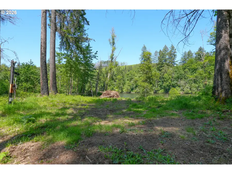 Goodpasture Rd #01809, Vida, OR 97488 - #3