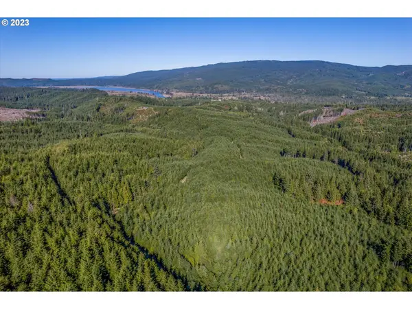 6 Parpala Rd #6, Naselle, WA 98638