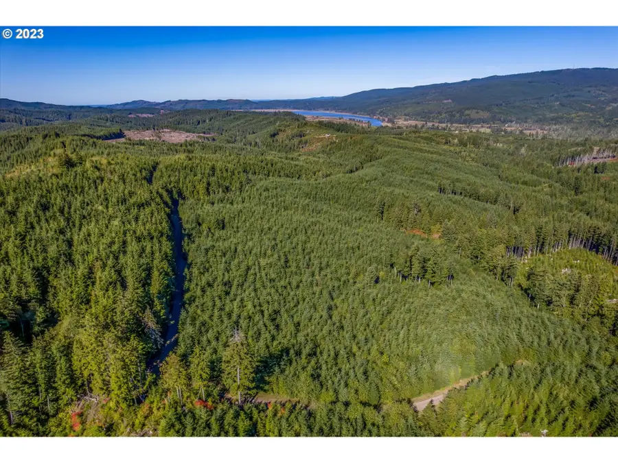 6 Parpala Rd #6, Naselle, WA 98638 - Image #2