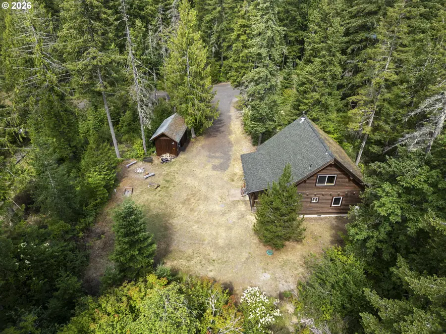 181 Lodgepole Ln, Cougar, WA 98616 - #3
