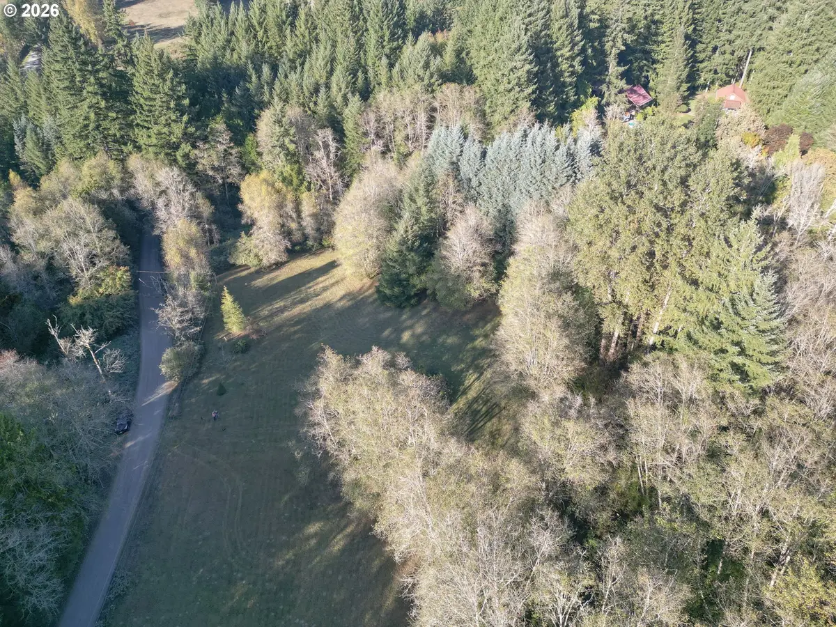 00 NE 142nd Ave, Amboy, WA 98601 - #1