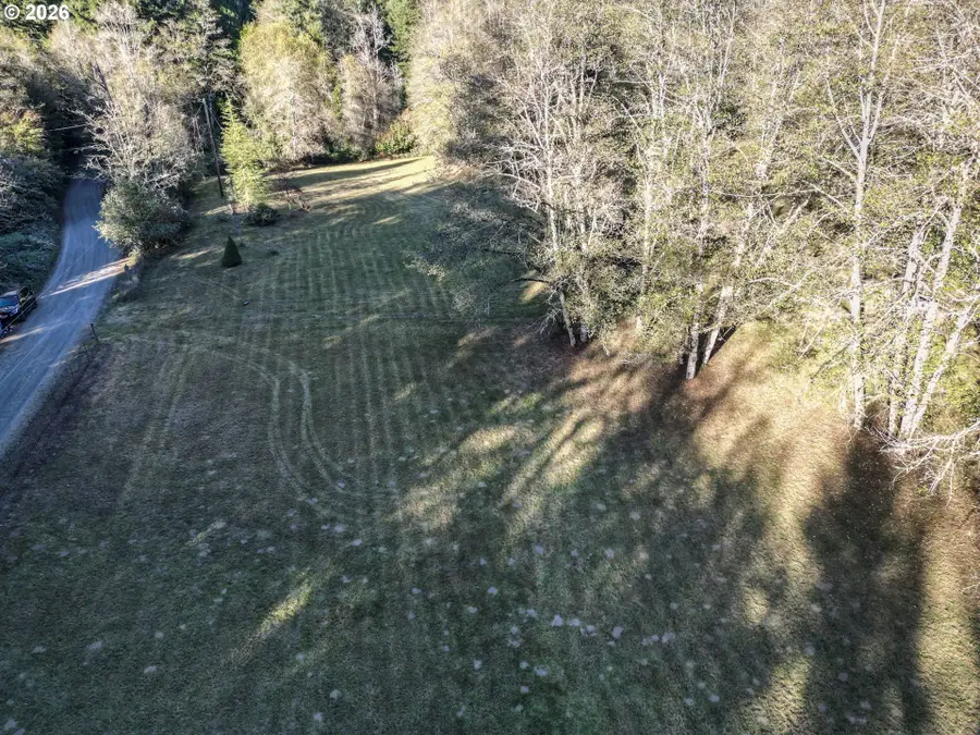 00 NE 142nd Ave, Amboy, WA 98601 - #2