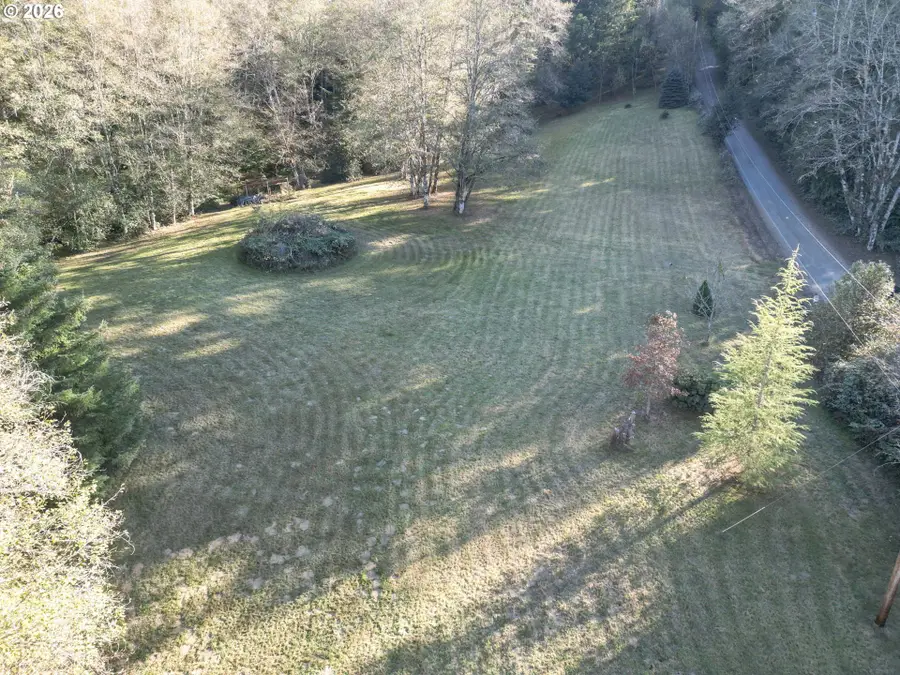 00 NE 142nd Ave, Amboy, WA 98601 - #3