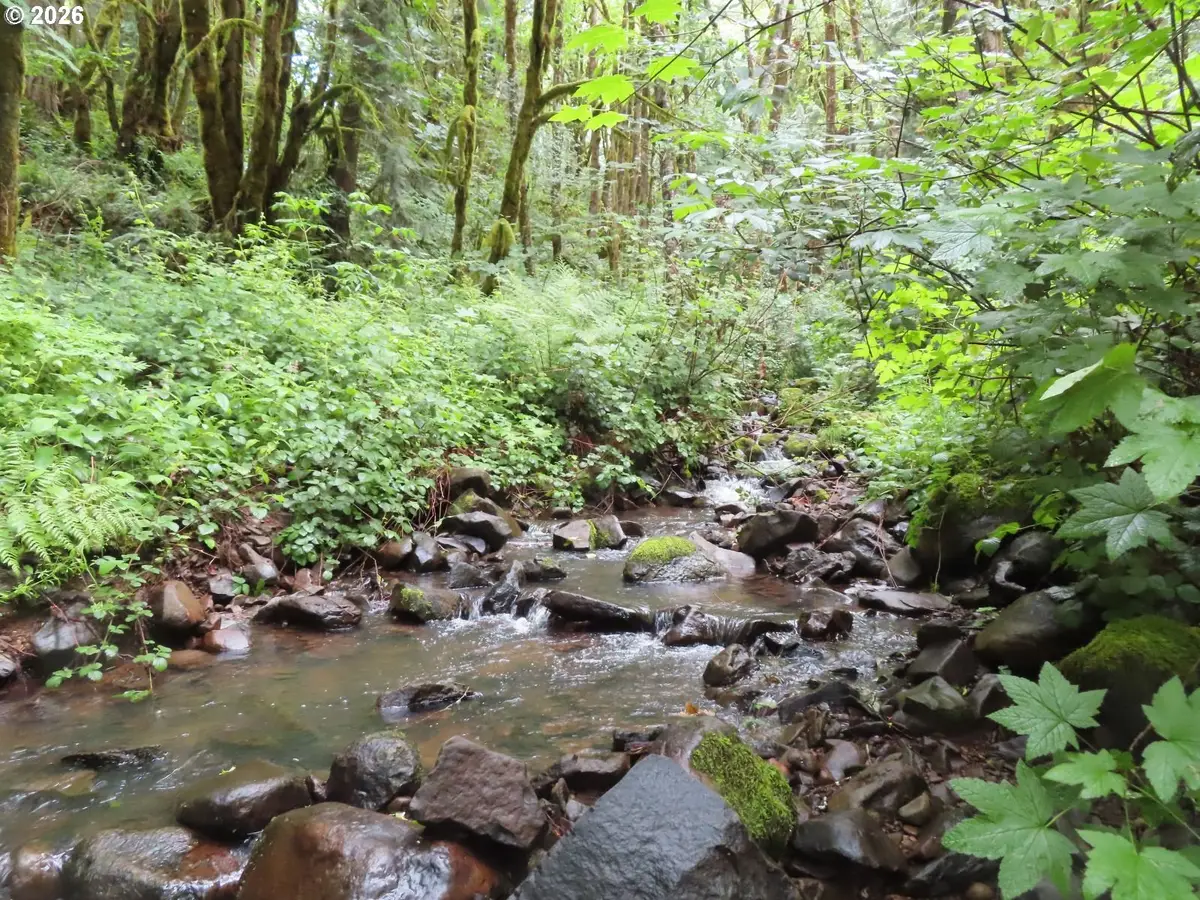 Sylvan Way, Longview, WA 98632 - #1