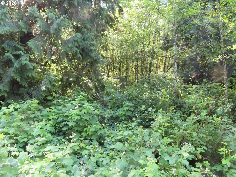Sylvan Way, Longview, WA 98632 - #2