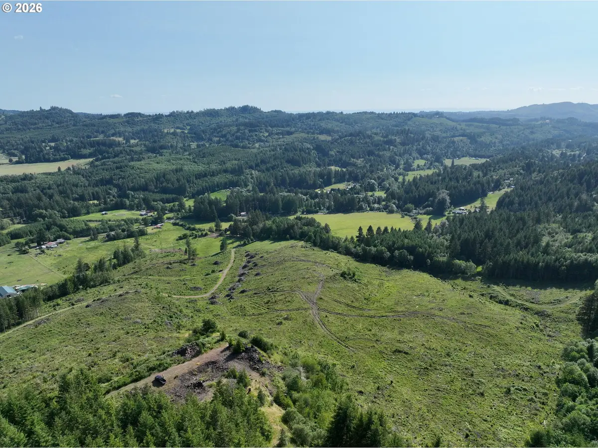 0 NE 206 Ave, Amboy, WA 98601 - #1