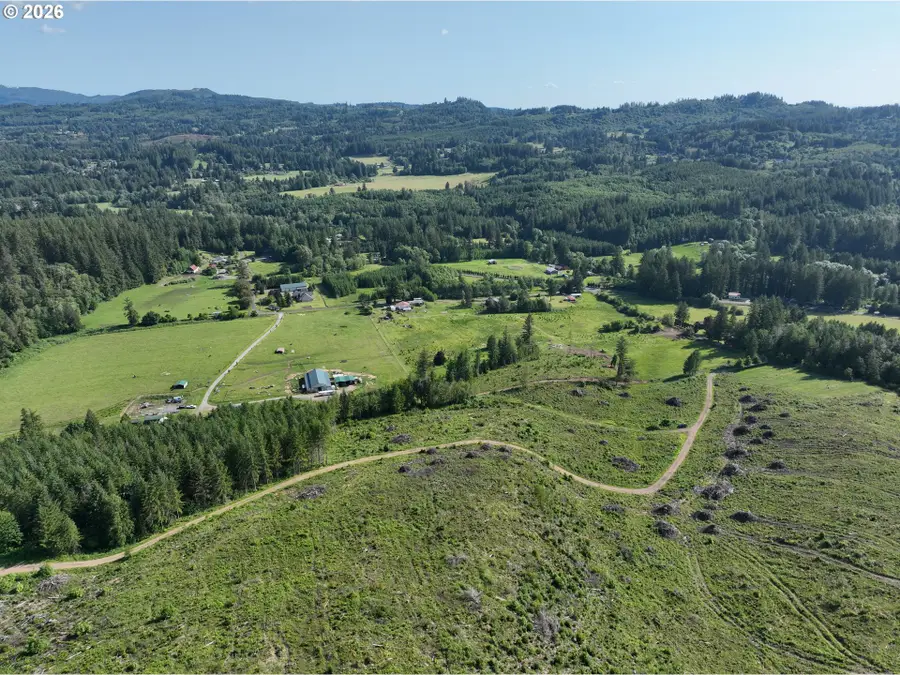 0 NE 206 Ave, Amboy, WA 98601 - #2