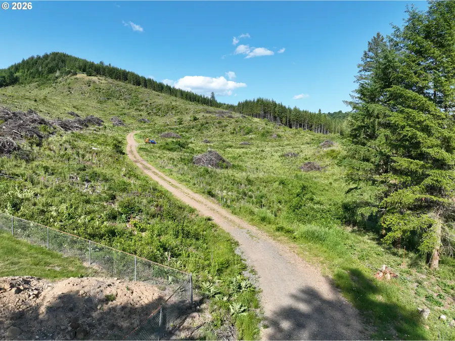 0 NE 206 Ave, Amboy, WA 98601 - #3