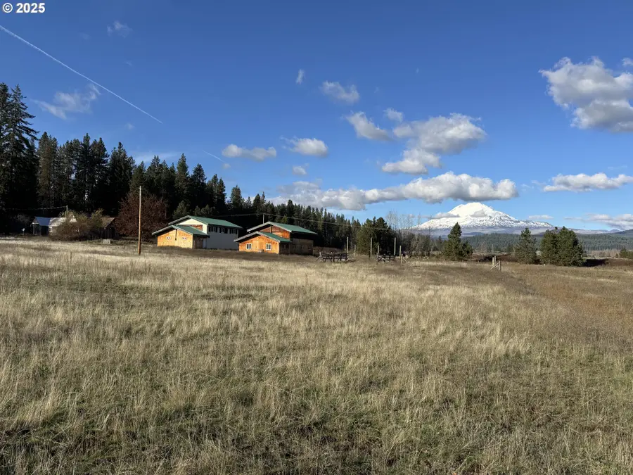 343 Little Mountain Rd, Trout Lake, WA 98650 - Image #3