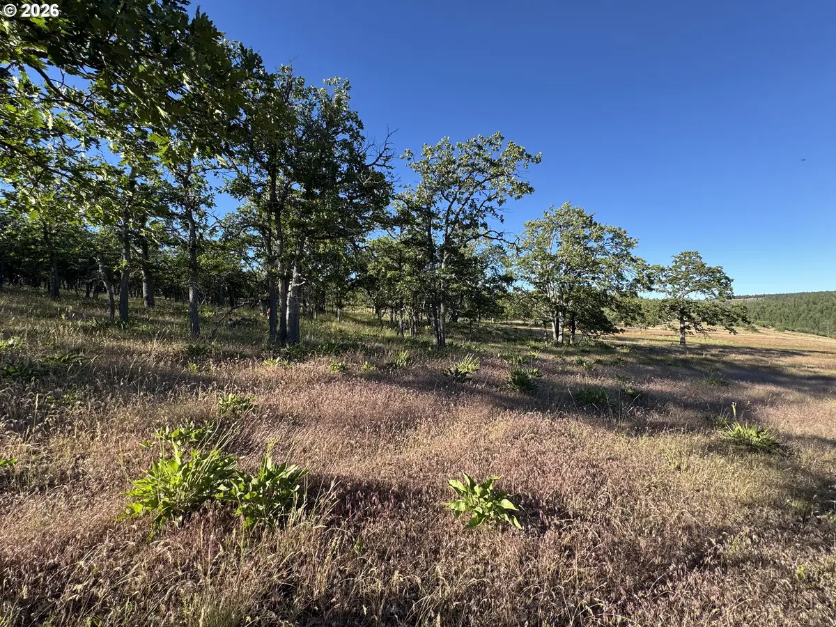 Piney Woods, Goldendale, WA 98620 - #1