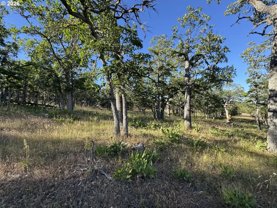 Piney Woods, Goldendale, WA 98620 - #3