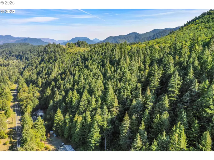 0 Westfir Rd #TL 1400, Westfir, OR 97492 - #2