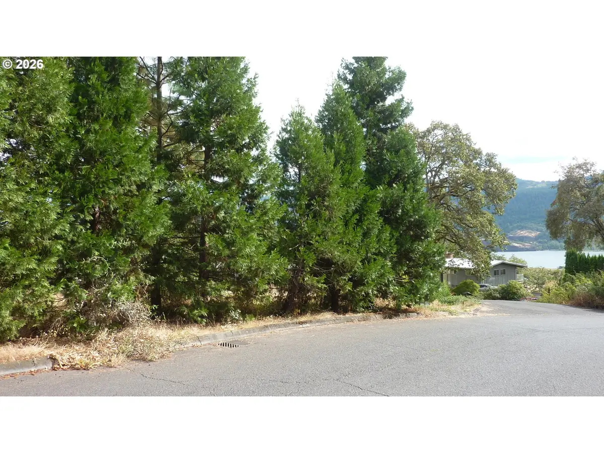 1039 SE Oak St, White Salmon, WA 98672 - #1