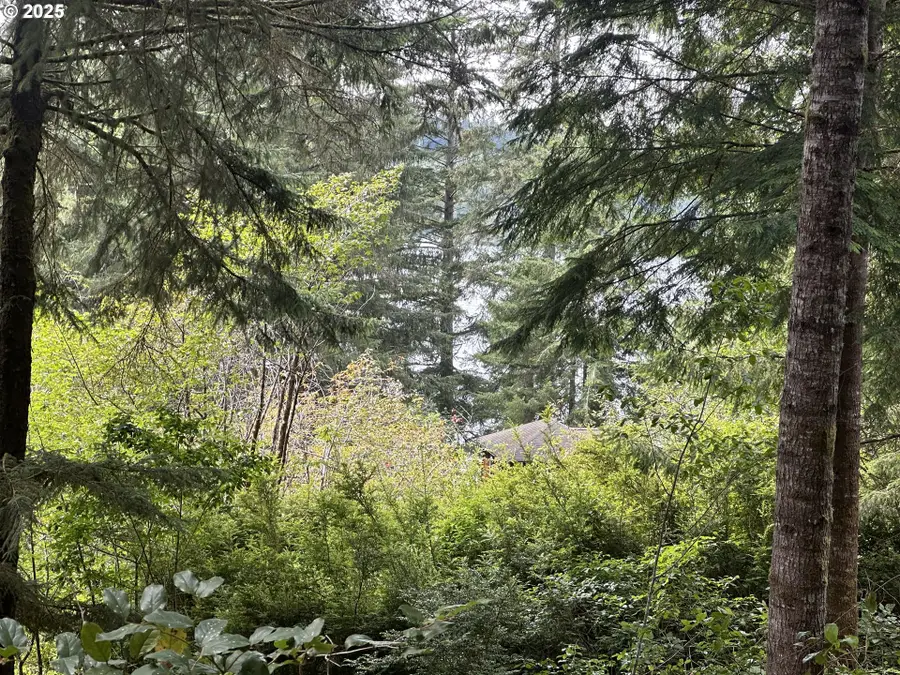 Summerbell Dr #Lot 7, Florence, OR 97439 - #2