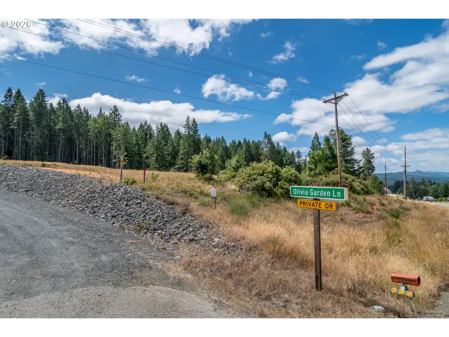 17520 Highway 42, Camas Valley, OR 97416 - #2