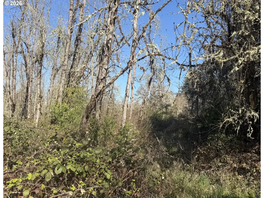 82750 Bear Creek Rd, Creswell, OR 97426 - #2