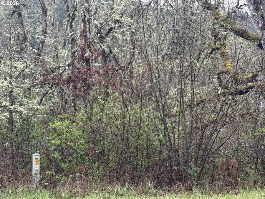 82750 Bear Creek Rd, Creswell, OR 97426 - #3