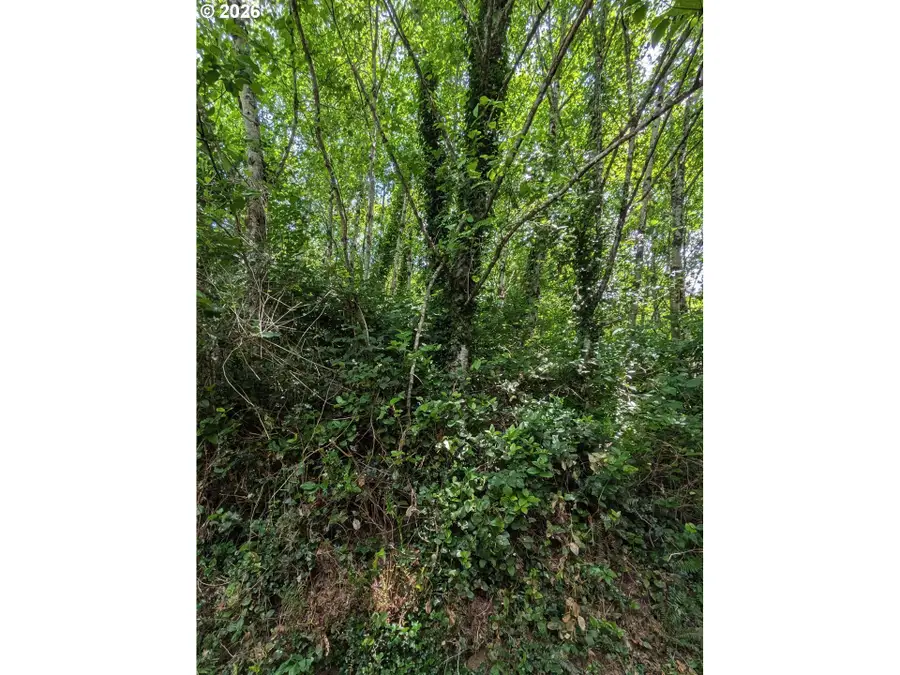 S Easy St, Rockaway Beach, OR 97136 - #3