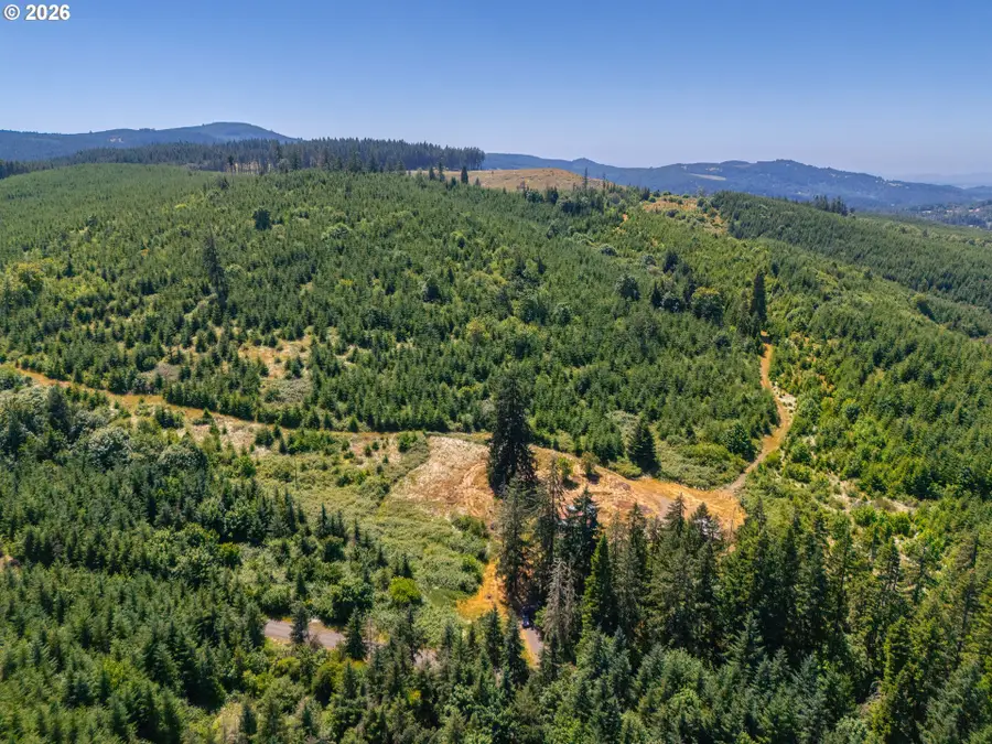 29852 Ingram Rd, Lebanon, OR 97355 - #2