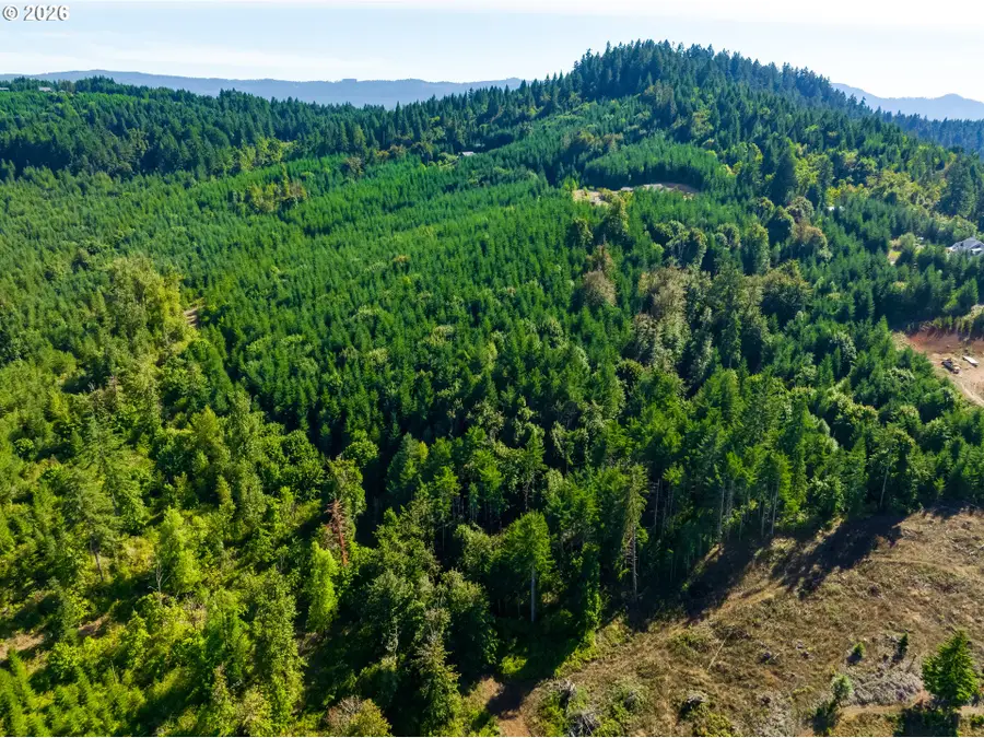 Mccauley Ridge Dr, Springfield, OR 97478 - #3