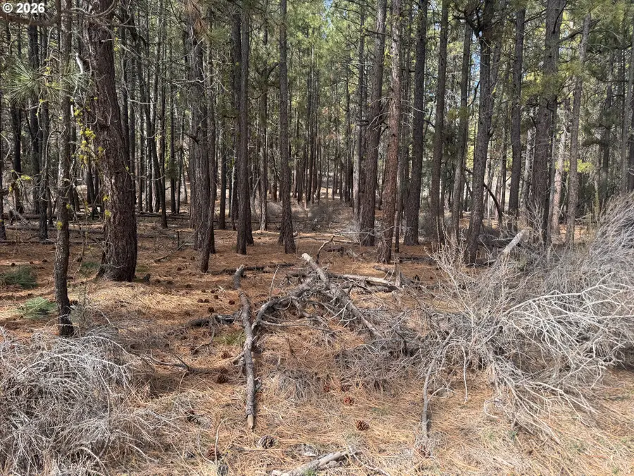 Bliss Rd #3610, Spragueriver, OR 97639 - #2