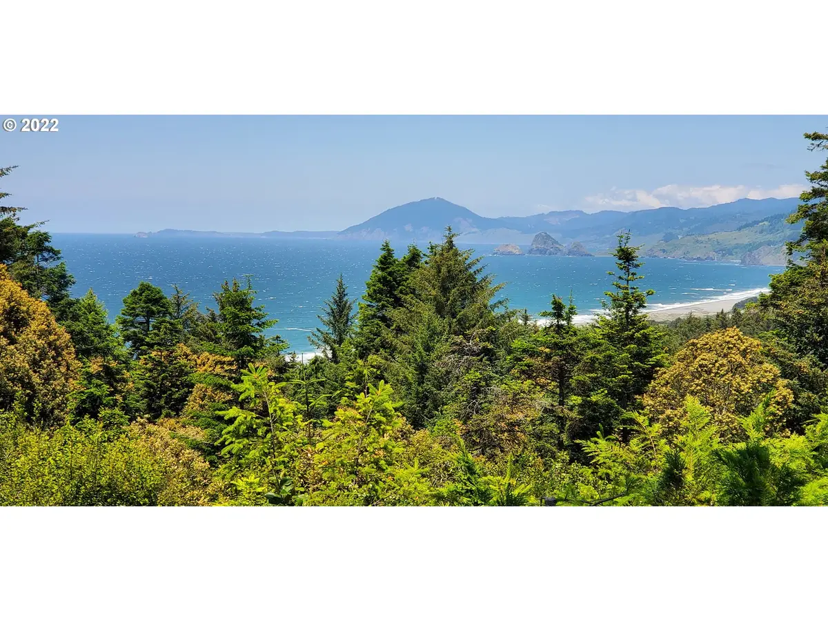 Miller Ln #1100, Goldbeach, OR 97444 - #1