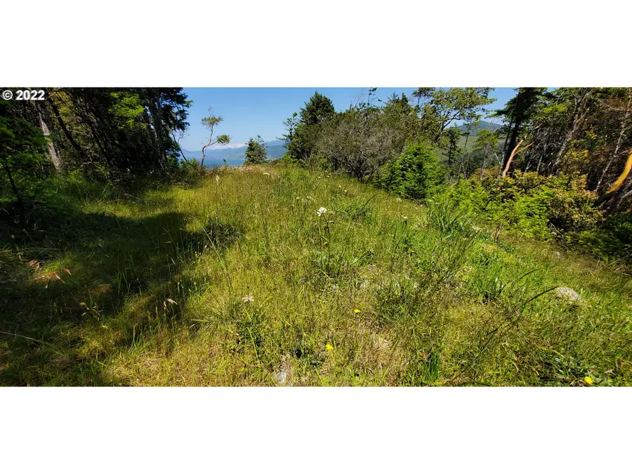 Miller Ln #1100, Goldbeach, OR 97444 - #3