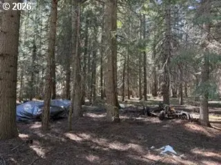 1251 Canyon Rd, Appleton, WA 98602 - #2