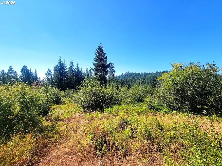 0 Xxx Simcoe Mtn Rsrv, Goldendale, WA 98620 - #3