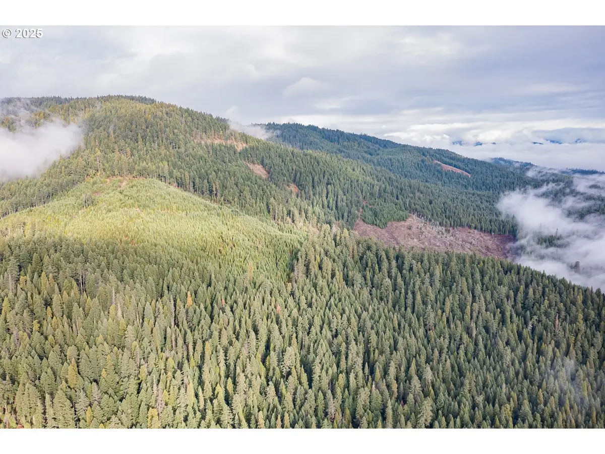 River Rd, Prospect, OR 97536 - Image #1