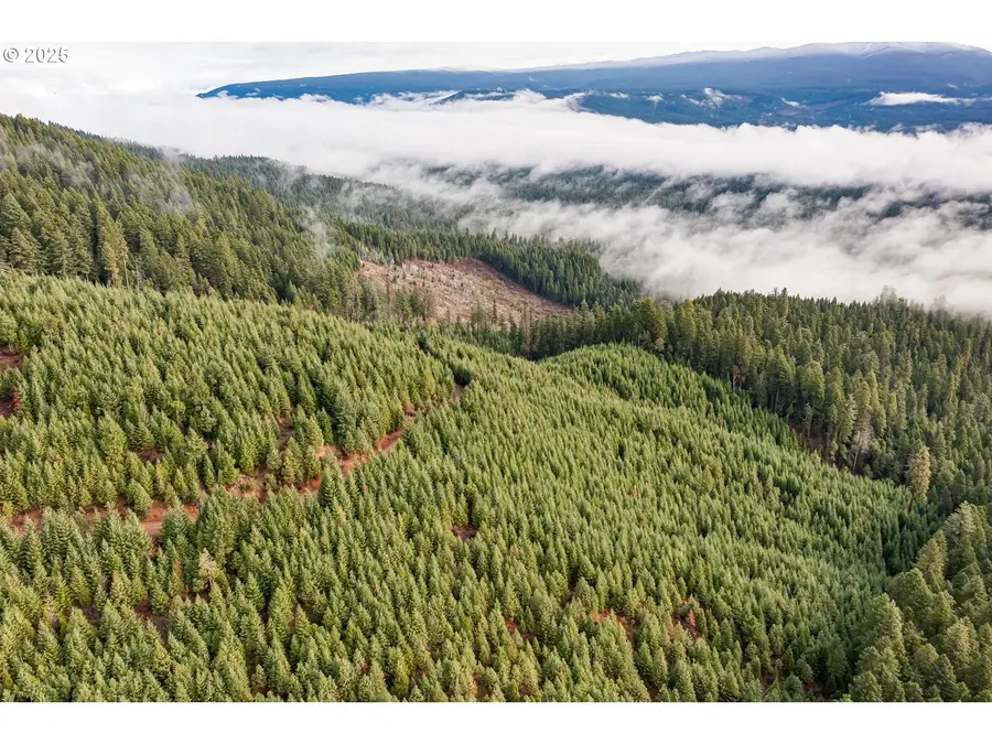 River Rd, Prospect, OR 97536 - Image #2