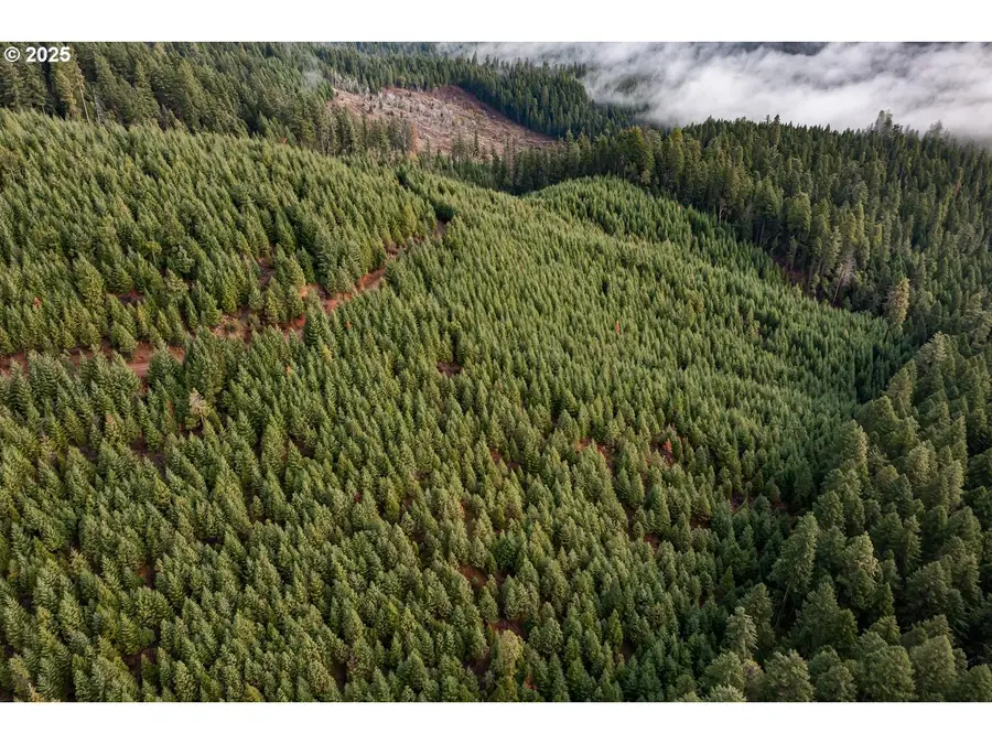 River Rd, Prospect, OR 97536 - Image #3