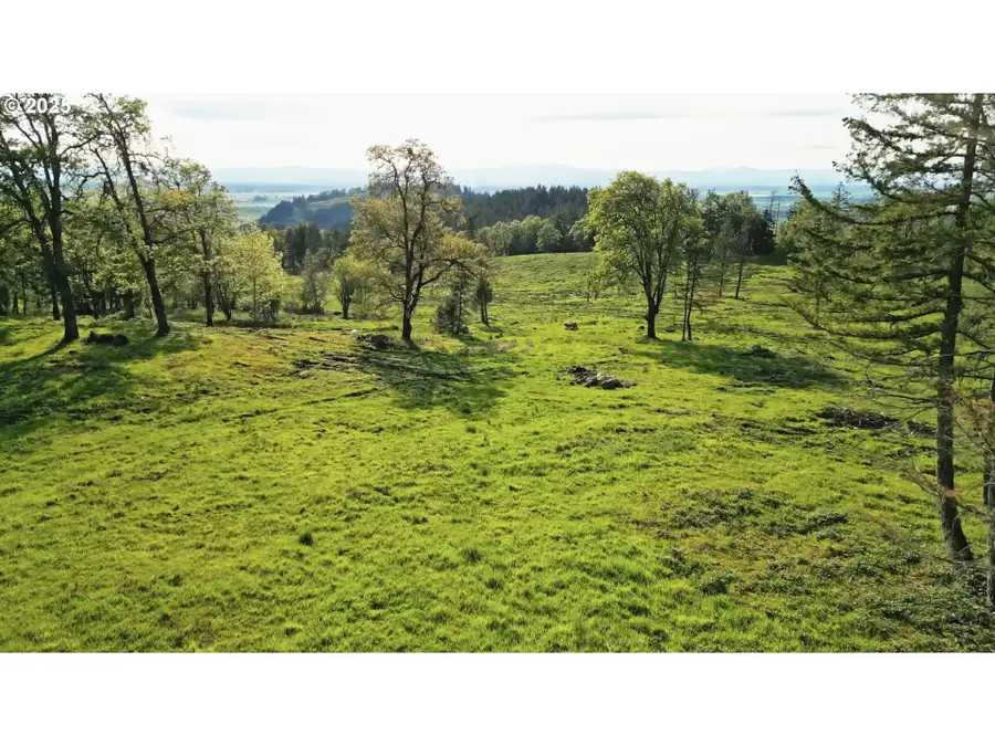 Lot 1, Harrisburg, OR 97446 - Image #3