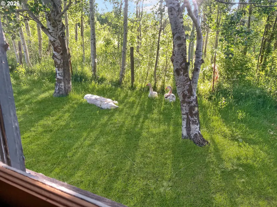 36301 Valley View Ln, Halfway, OR 97834 - #3