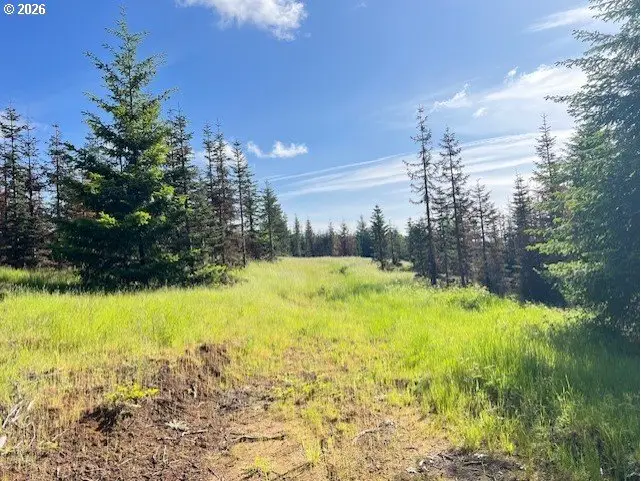 NW Lodge Rd, Banks, OR 97106 - #1