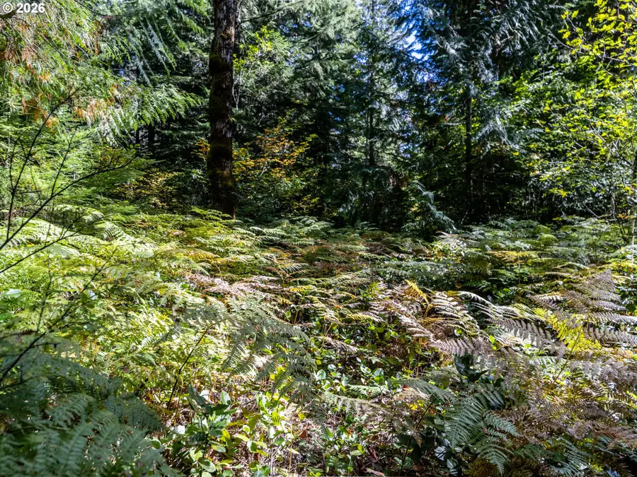 20570 E Lolo Pass Rd, Rhododendron, OR 97049 - #3