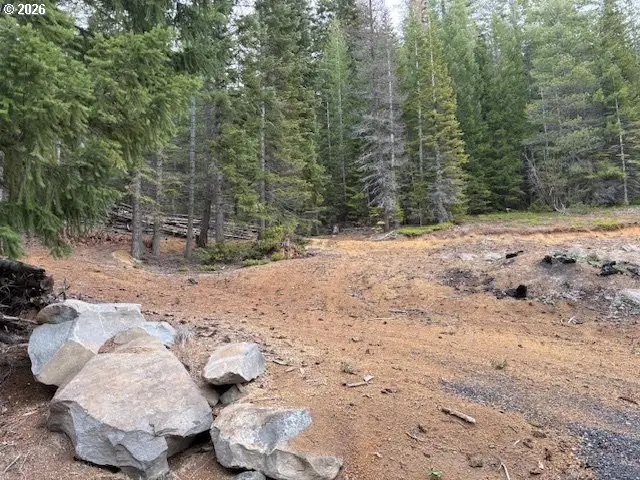 6 Royce Pine Rd, Crescent Lake, OR 97733 - #1